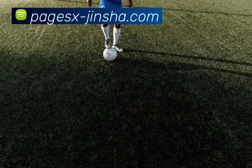 澳门金沙官网APP 体育赛事宣传图